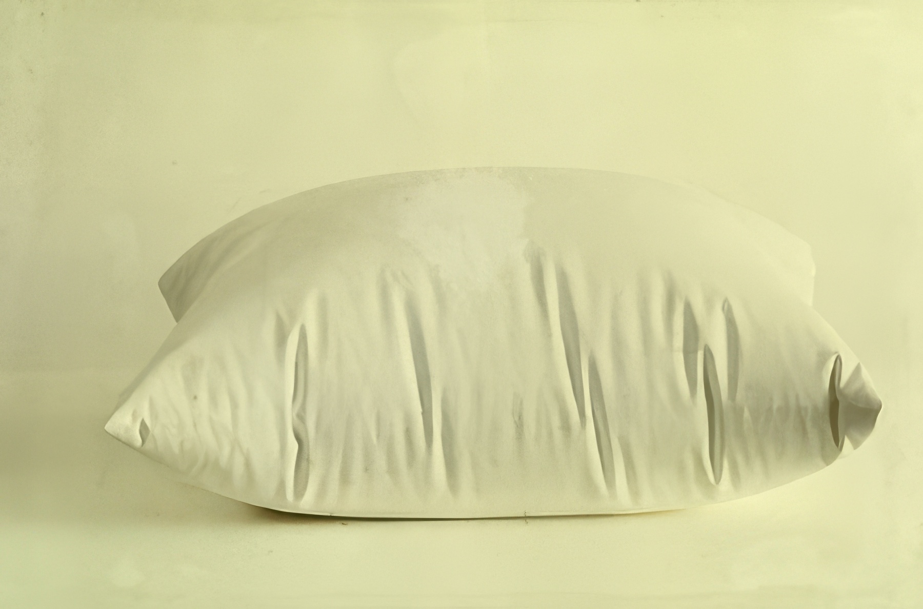 Sixty pounds of plaster